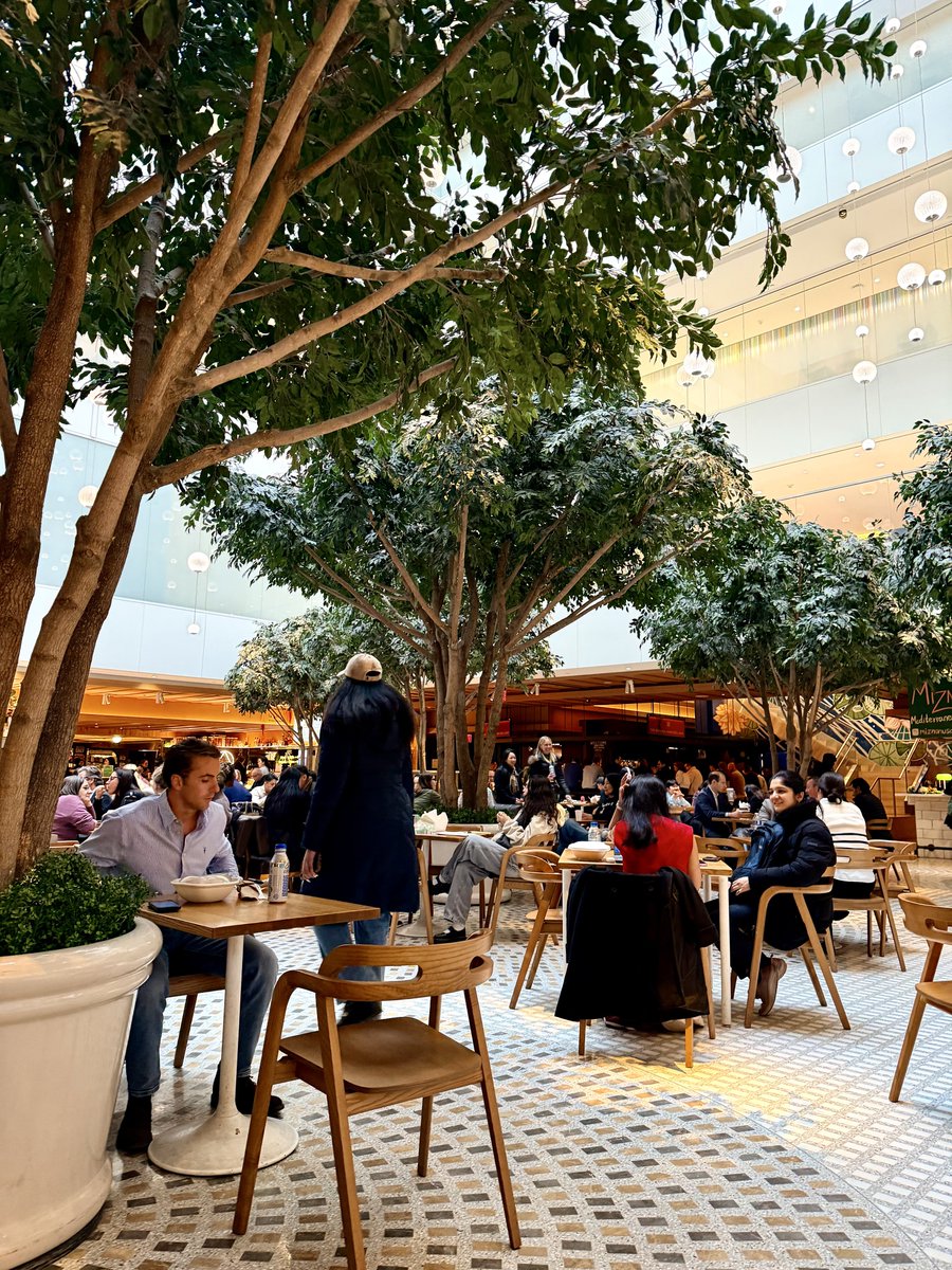 Dr J Rould tweet media