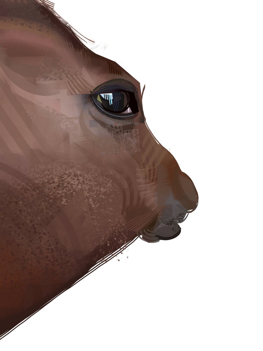 ★Nate D Hernandez★ tweet media