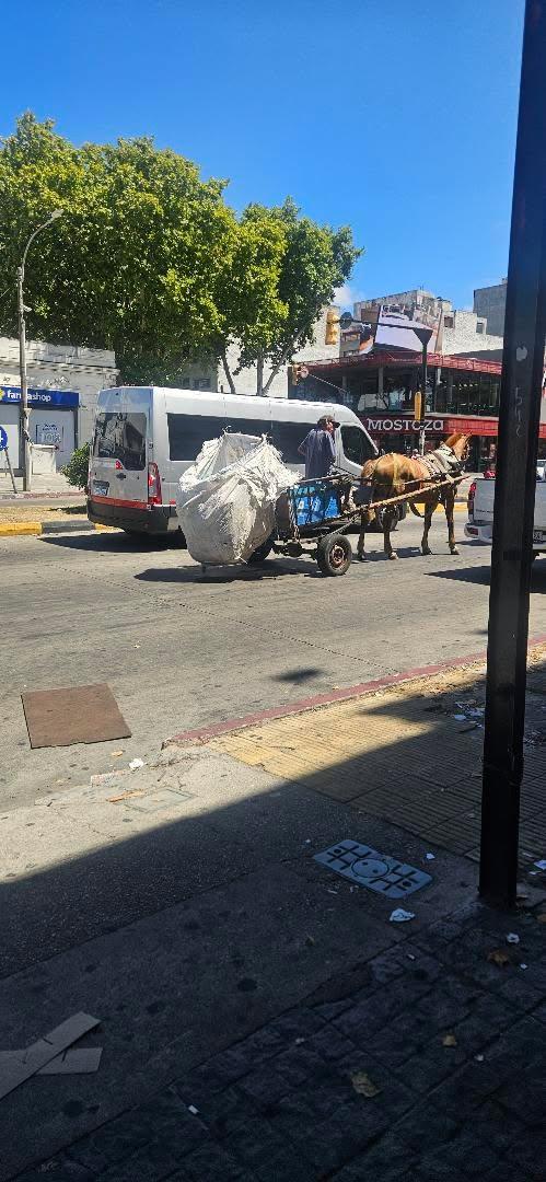 Comparto textual 🍊 
Pleno Luis Alberto de Herrera y Rivera.. los carros que según la Imm no pueden ir por Avenidas.. el caballo no podía más. Con 30 grados y en subida pobre animal. El único animal que se salva en la imm es el Carpincho...