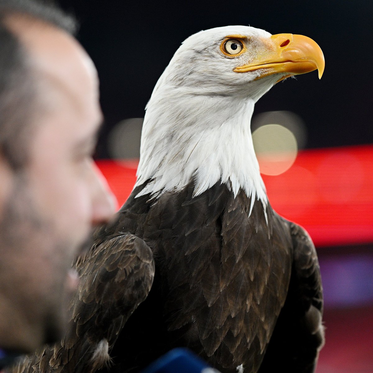 SL Benfica 🦅

#UCL