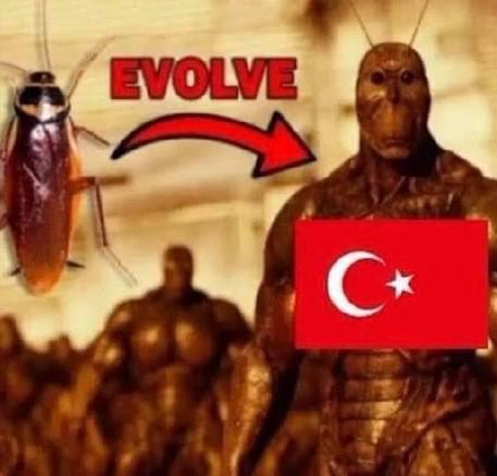 🇦🇱🇽🇰 tweet media