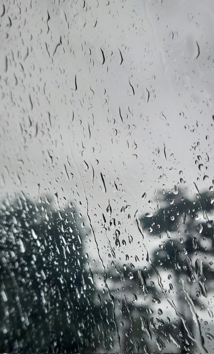 AnotFreq's tweet photo. 年初一 be like ?
年初一的今天一早就下着雨，所以冷冷的。虽然下雨但我还是出了门。假期所以商场里挤满了人。我很好奇koi的抹茶macchiato所以买了一杯。晚上呢～就玩游戏中度过。别说我懒，哈哈 (∩_∩)。祝假日愉快哦～新年快乐～ ��🧧
#LunarNewYear https://t.co/APN0Na00Fy