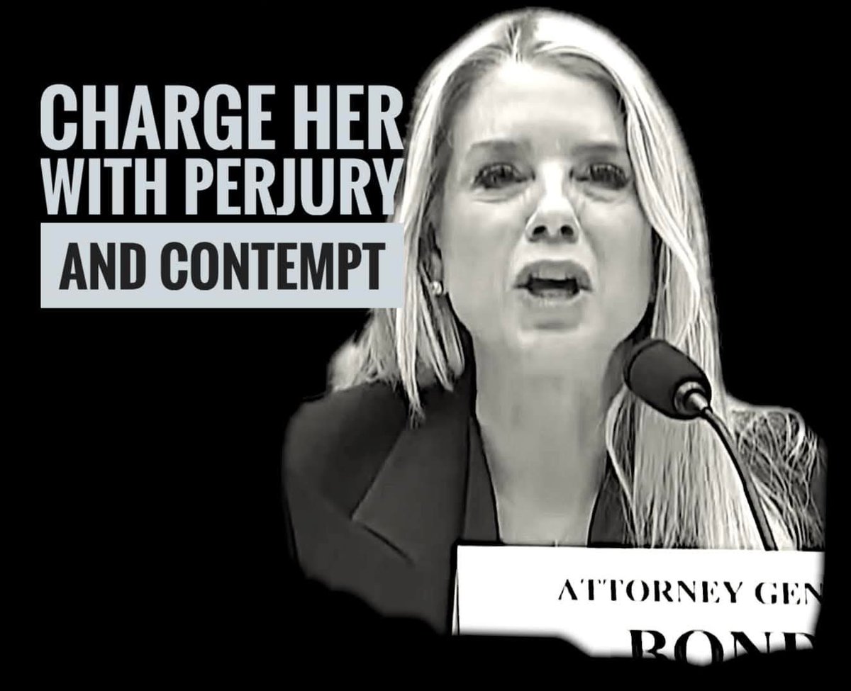 DO YOU WANT PAM BONDI TO BE CHARGED WITH PERJURY AND CONTEMPT PRESS 3 AND REPLY THUMBS UP 👍