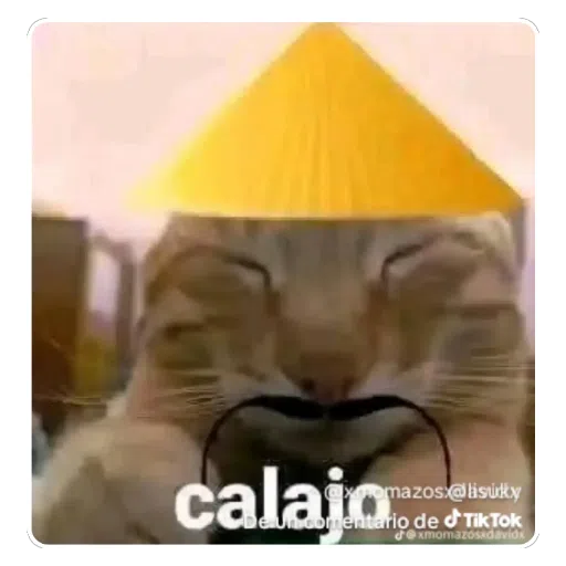 tmre jerí siendo censurado en pleno año nuevo chino
ya basta perú