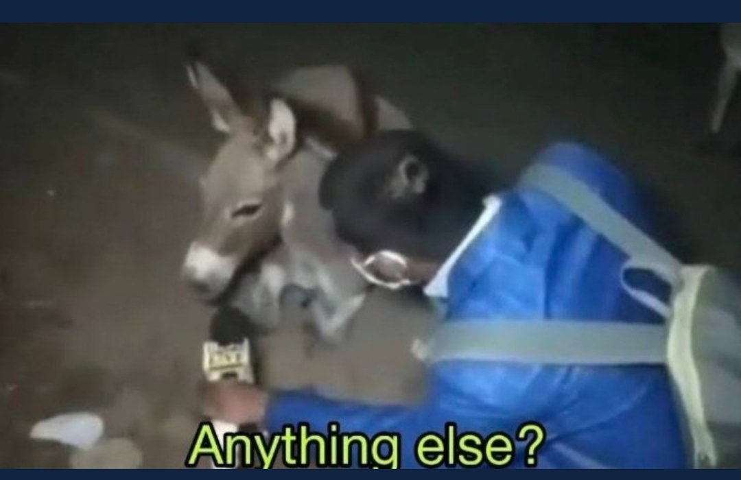 FC Cinema tweet media