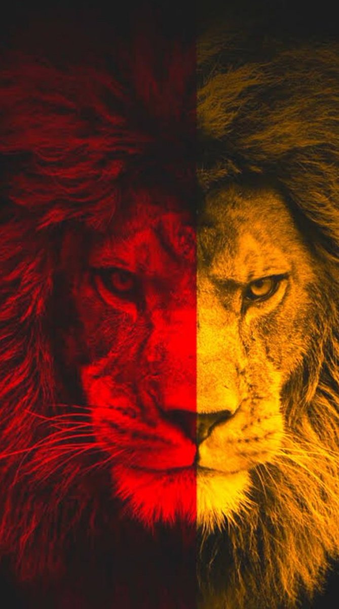 Olağanüstü bir gece 💛❤️#GSvJUVE #UCL #GalatasaraySK