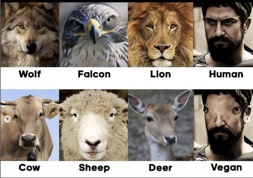 Humans are Predators - most predators have forward facing eyes for hunting.

Prey has their eyes on the sides to be able to spot danger from multiple directions.