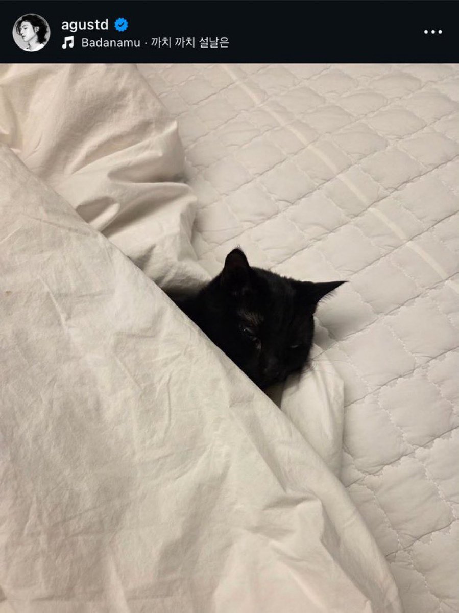 this yalls evil scary rapper man??? he tucks his kitty into bed...