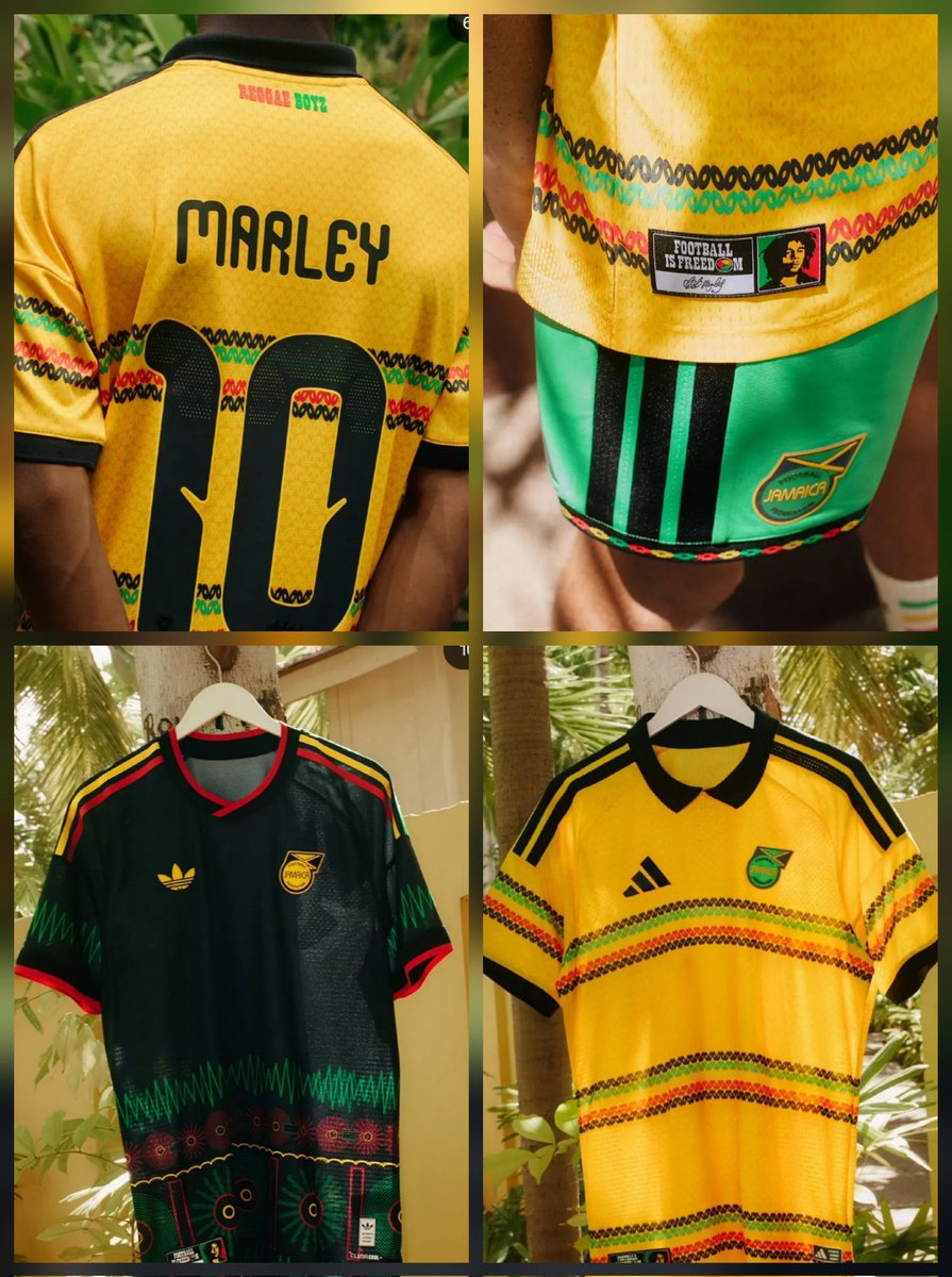 J.G. Rolim tweet media