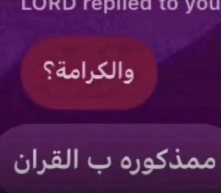 🇸🇦 7 tweet media