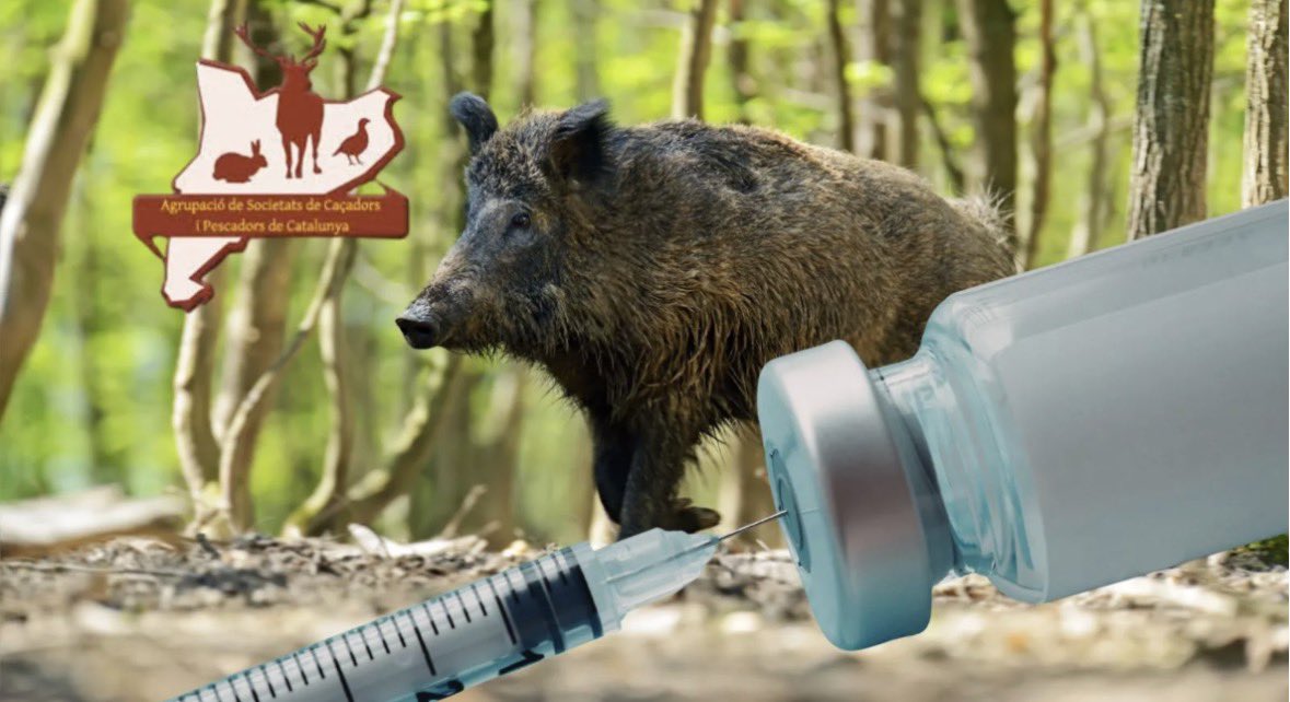 Toni Lopez tweet media