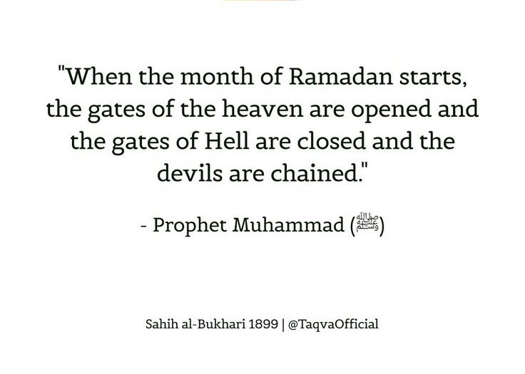 Smitty🥇 tweet media