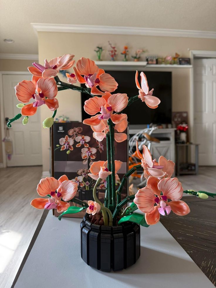 only cute things (@cutedreamvibes) on Twitter photo 