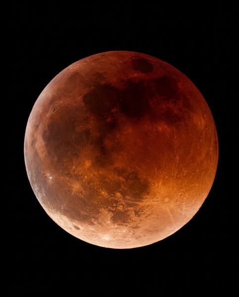 All day Astronomy tweet media