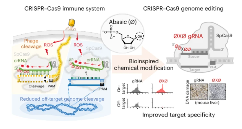 Nature Chemical Biology tweet media