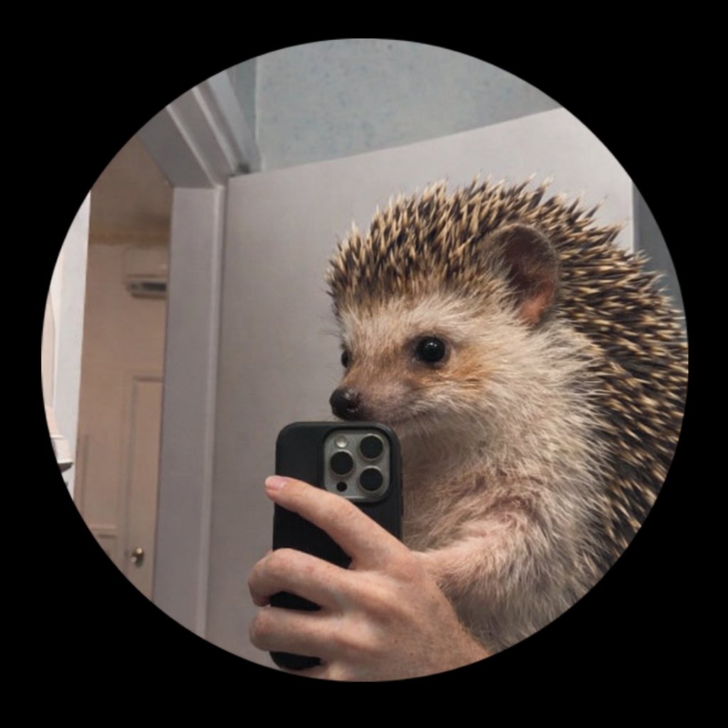 ARDA 👑 tweet media