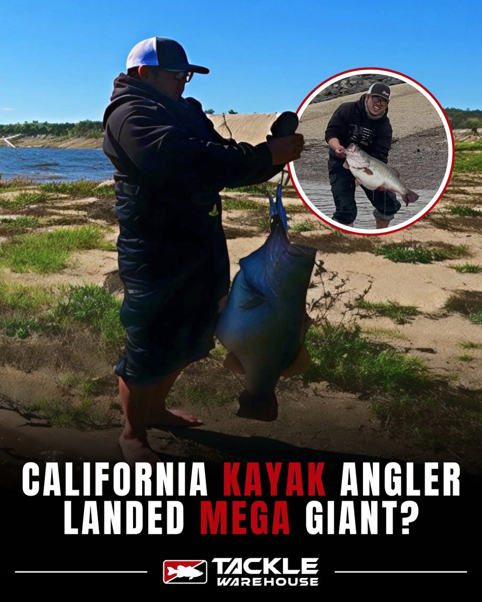 TackleWarehouse's tweet photo. Whoa 🤯 Rumor is that Damian Thao reportedly landed a MEGA GIANT bass in California on Sunday… 👀

How big do YOU think it is? Drop your guess below 👇 Word is we’ll all find out soon! 🎣

📸 Damian Thao / IG: localboyzfish

#TackleWarehouse #BassFishing #CaliforniaFishing https://t.co/hWtoSAmcar