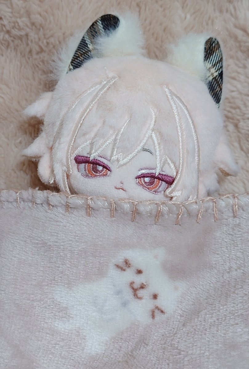 rozenui1001's tweet photo. ❤今日は猫と寝るぜ。お休み。 https://t.co/jf5isshR8X