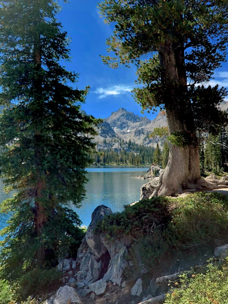 ACC_National's tweet photo. Daily dose of national forests https://t.co/ykkOfxH34m