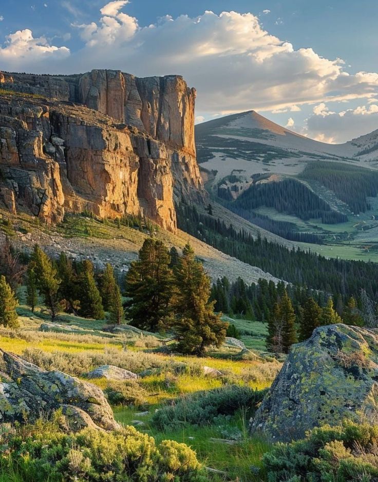 ACC_National's tweet photo. Daily dose of national forests https://t.co/ykkOfxH34m