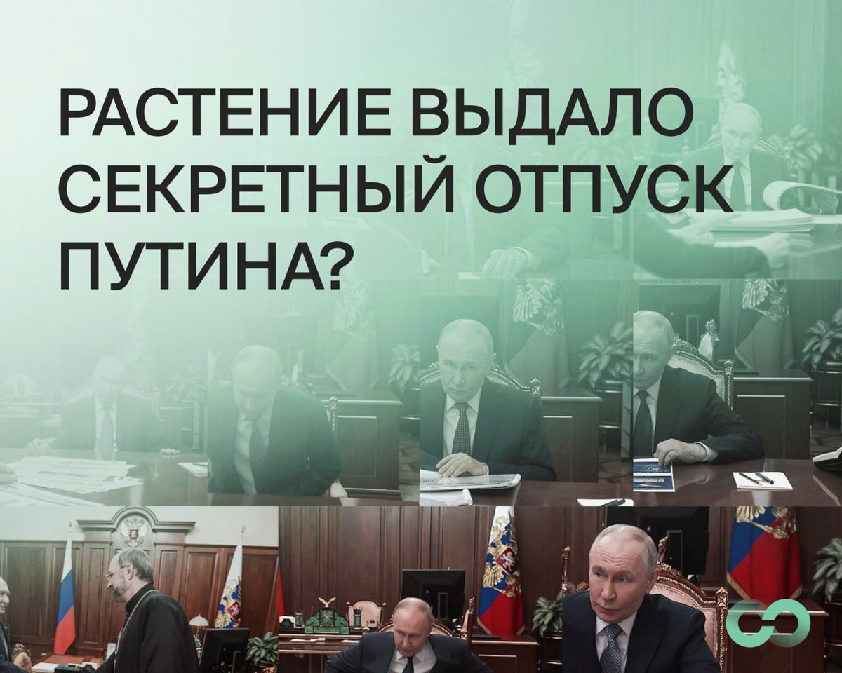 лотарева tweet media