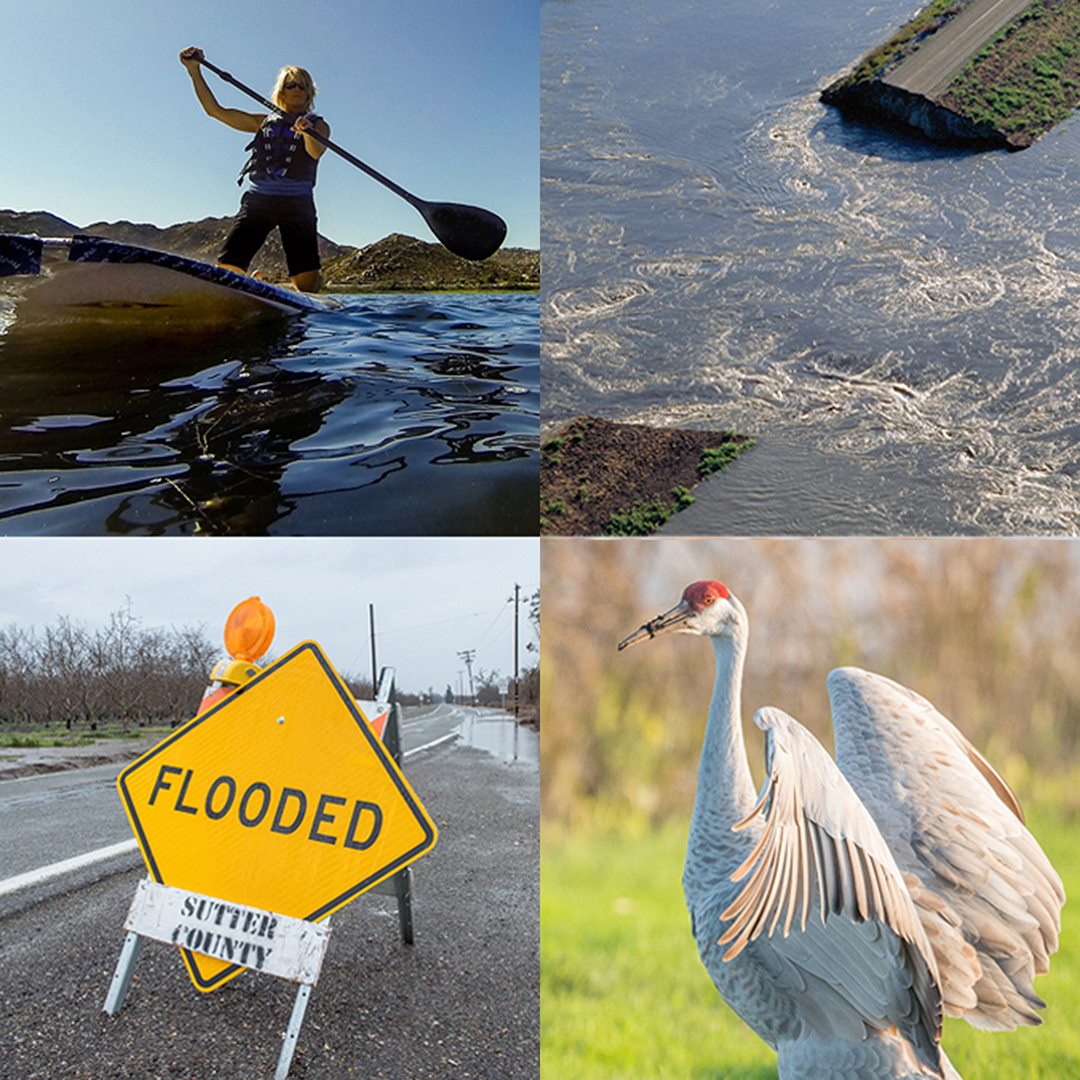 The Water Storage Investment Program funds the public benefits associated with the projects: ecosystem improvements, water quality improvements, flood control, emergency response, and recreation. Learn more about the WSIP at the Feb. 18 meeting of the California Water Commission.