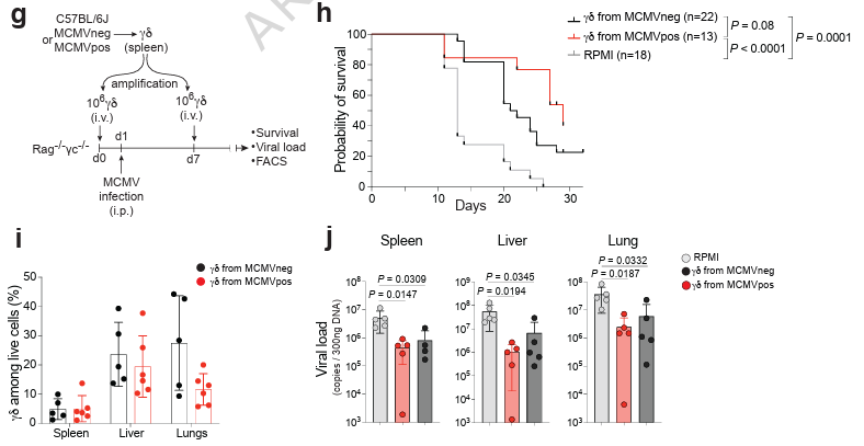 Waggoner Lab tweet media