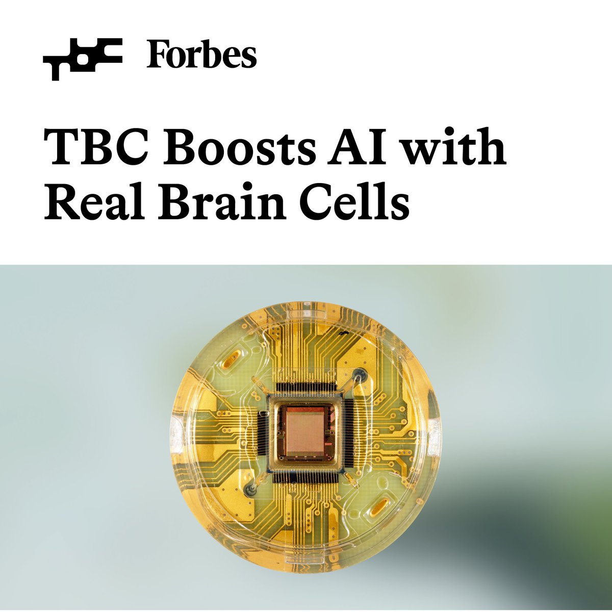 The Biological Computing Co. (TBC) tweet media