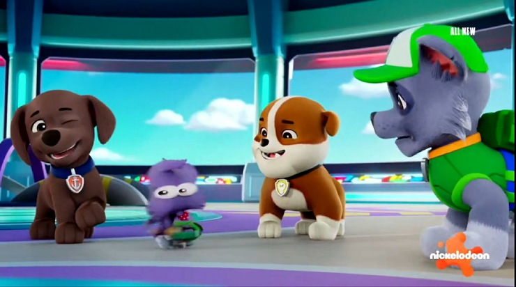 Weekly Rocky & Zuma. 💚🧡 February 28, 2026. #rockyandzuma