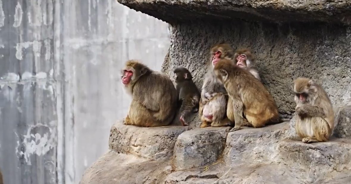 Radar Mundial tweet media