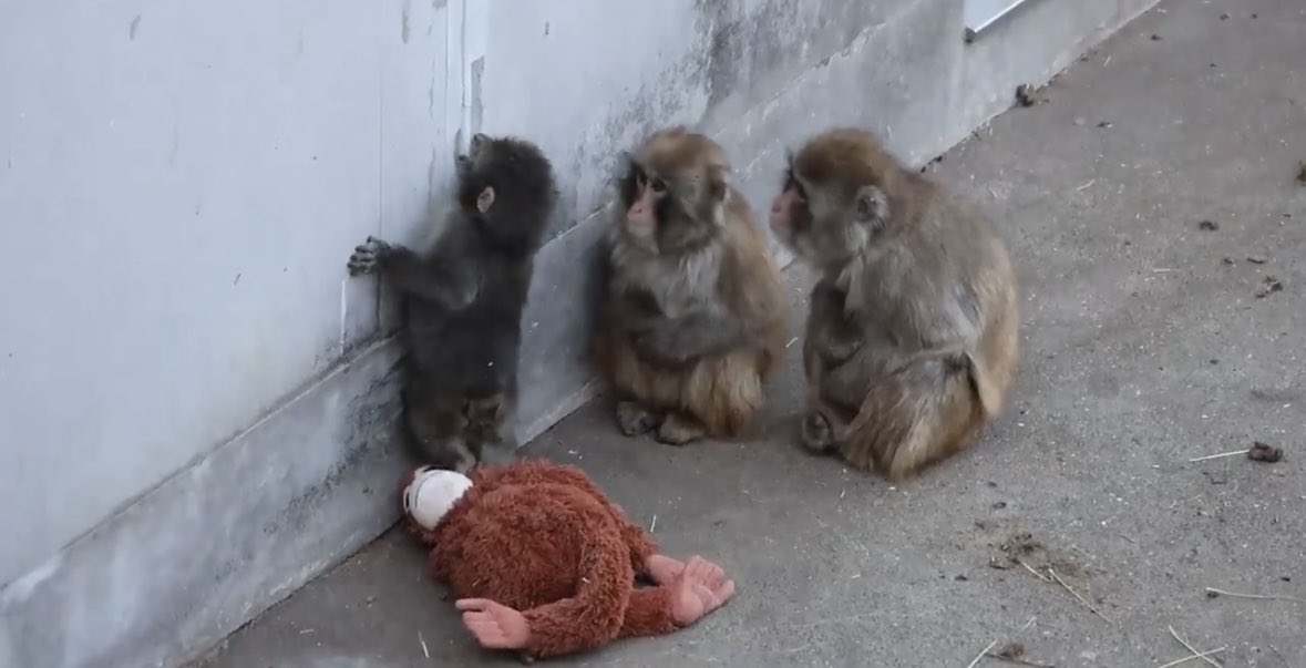 Radar Mundial tweet media