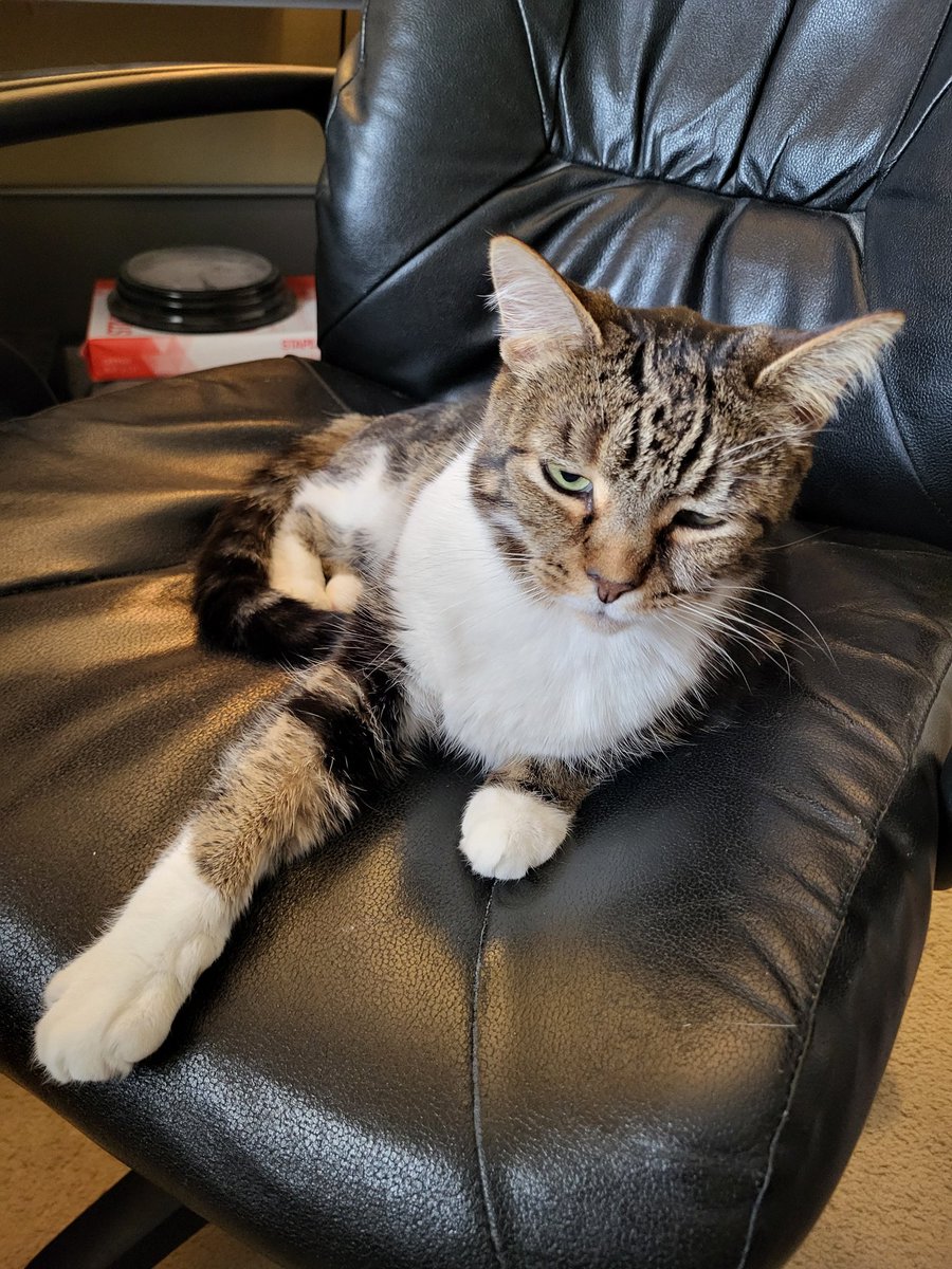 Michael Grant Smith is on Semi-Neo-Quasi-Hiatus tweet media