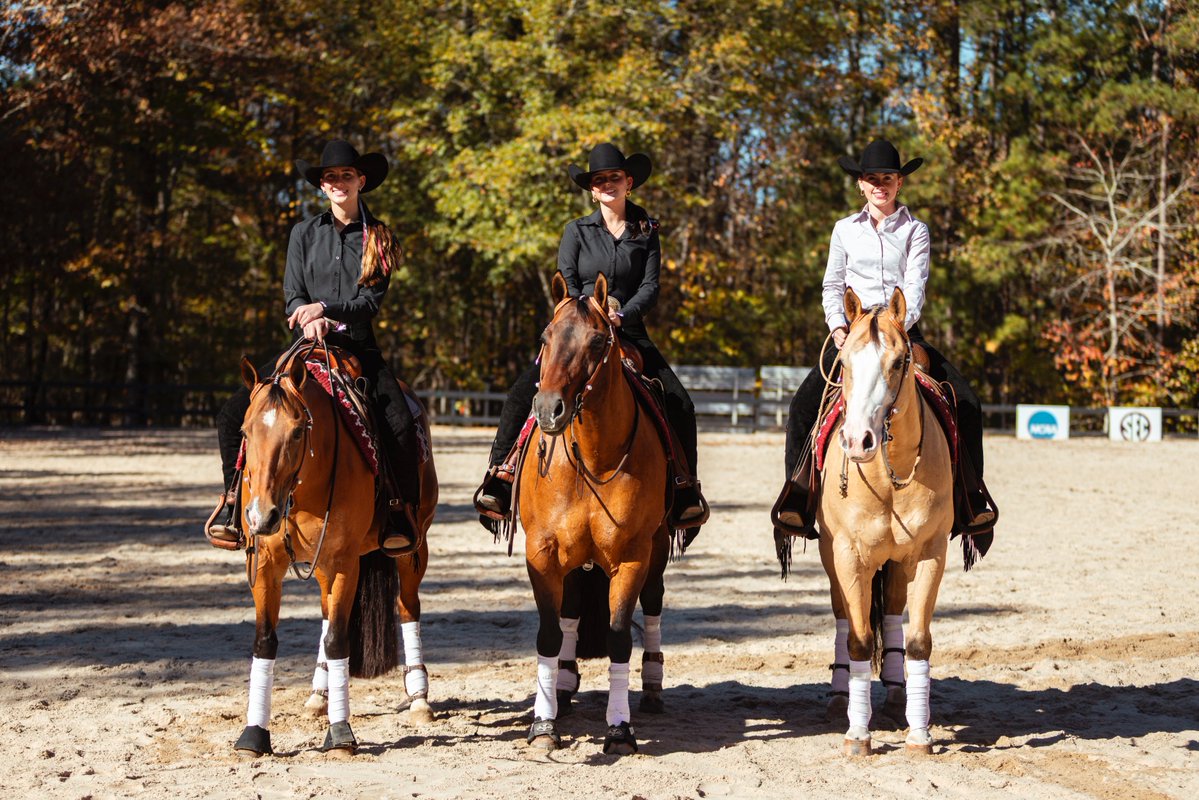 South Carolina Gamecocks tweet media