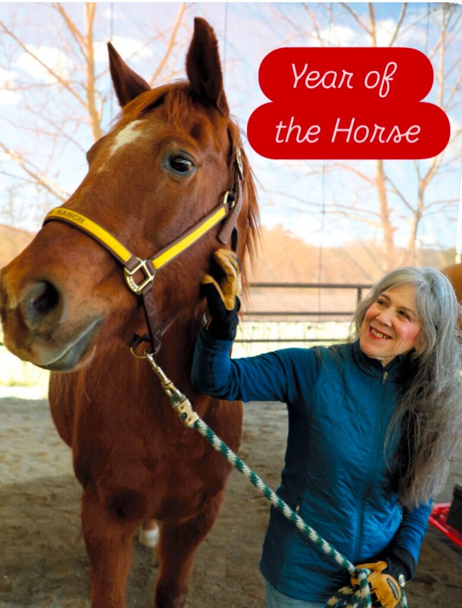 halterproject's tweet photo. HALTER Project is celebrating the lunar Year of the Horse by inviting our community of animal guardians to follow us as we share stores and tips focusing on on preparedness for equine emergencies! 🐴
#READYforWHATEVER
https://t.co/FRVqCGbeWA https://t.co/xvtPpaeCHa