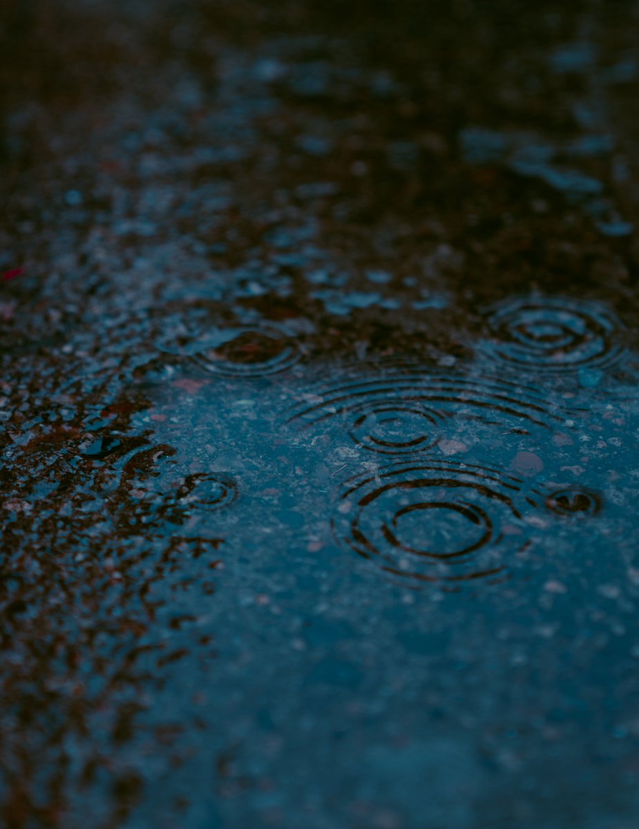 zosphotos's tweet photo. Rain and fog https://t.co/MRM191OeQ7