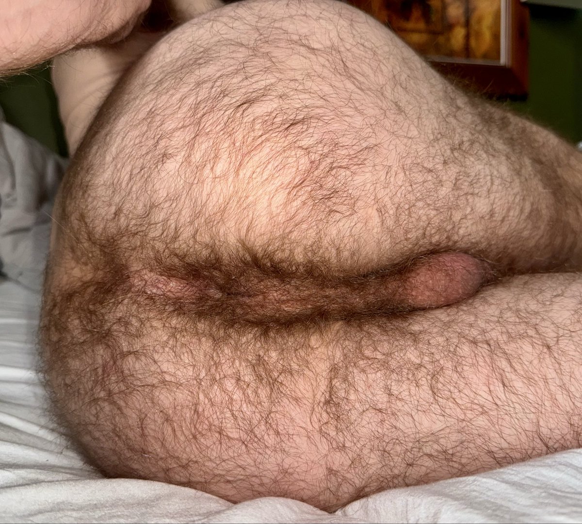 Come eat this hairy hole pig