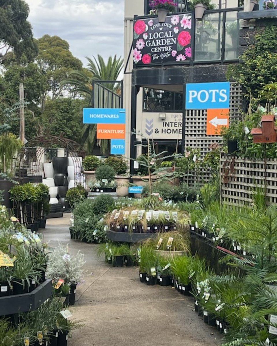 Quiet summer in retail? Not at NGIV Member Poyntons, its nursery is fully stocked and ready, because great gardens don’t take holidays. Make sure you visit your local nursery today. 🌿🔥