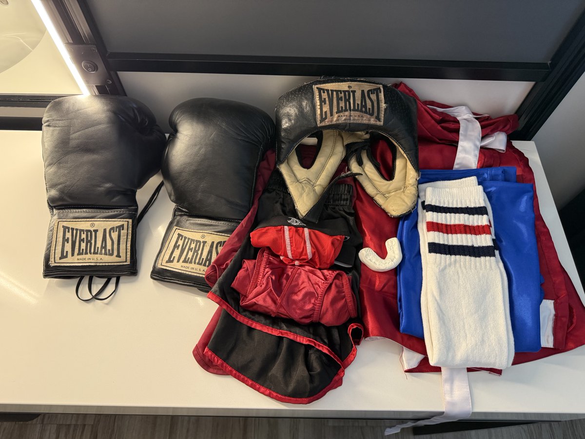 búho volado. / the flying owl tweet media