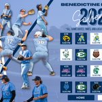 Photo by Benedictine Bengals Baseball (@cbhs_baseball)