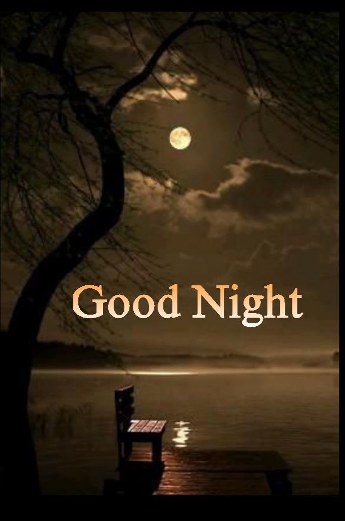 emreofficialy's tweet image. Good night 🌠
Have a good night ✨
May your heart be at peace tonight 🤍

GN 🌹