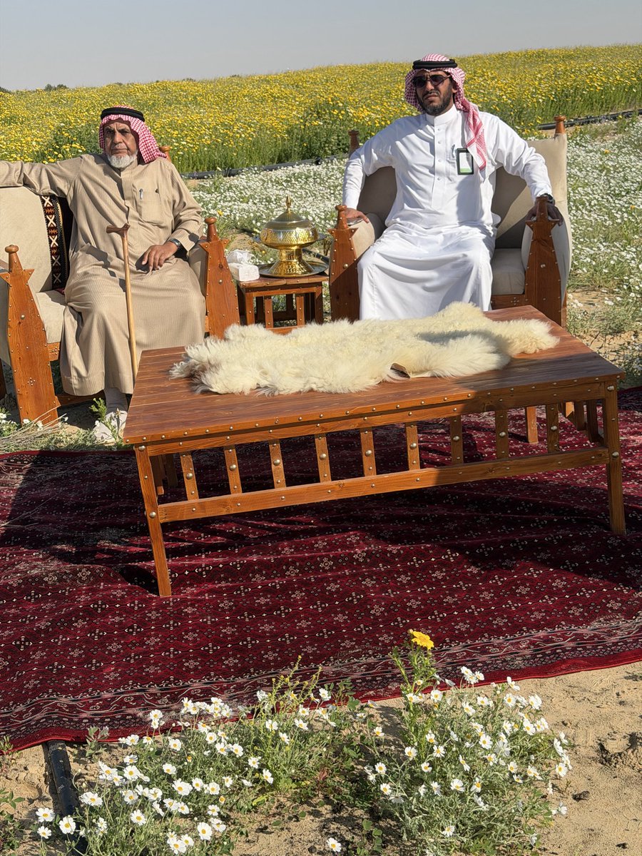 مربط ال رسام tweet media