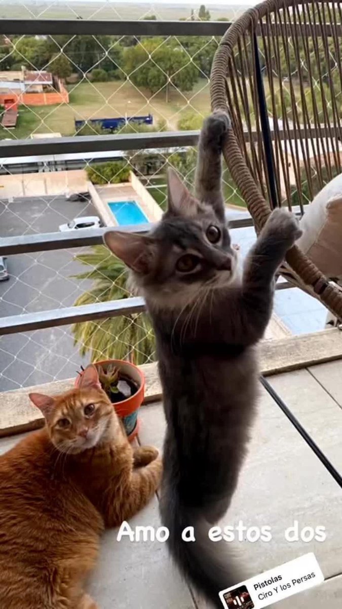 Luli Lacerna tweet media