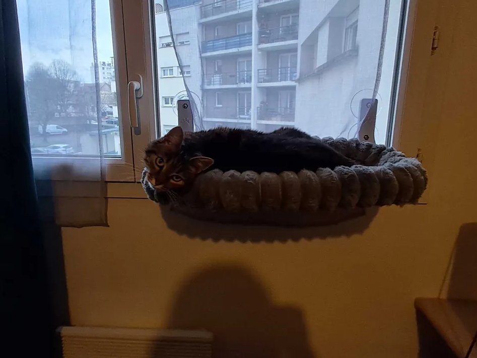 Cette semaine, on avait chargé Tickie de la com', mais comme vous pouvez le constater, il y a eu d'autres priorités...