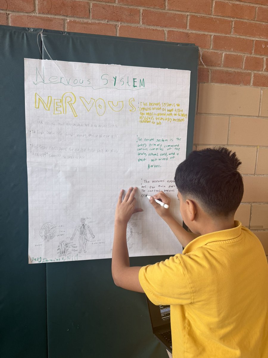 Mel Fogie, EdD tweet media