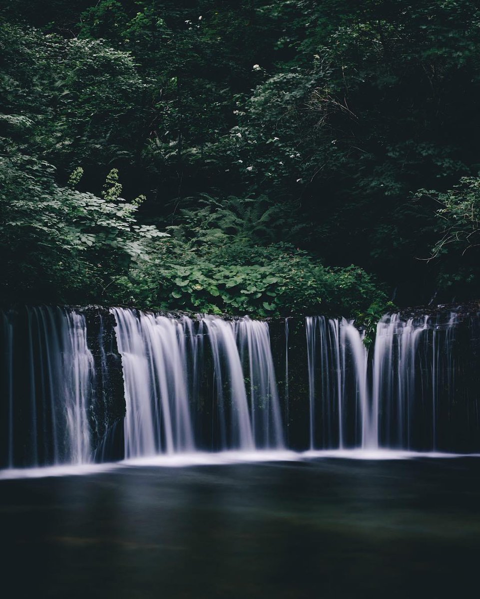 今を全力で生き切れ,今動かなければ,夢を掴め今すぐ💰