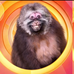 chernobratz's tweet image. Filme icônico, para as baratinhas que acham que o cinema tem que ser confortável, só lamento e vocês estão sendo cinéfilos do jeito errado