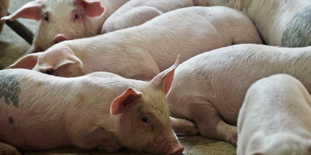 DTN/Progressive Farmer tweet media