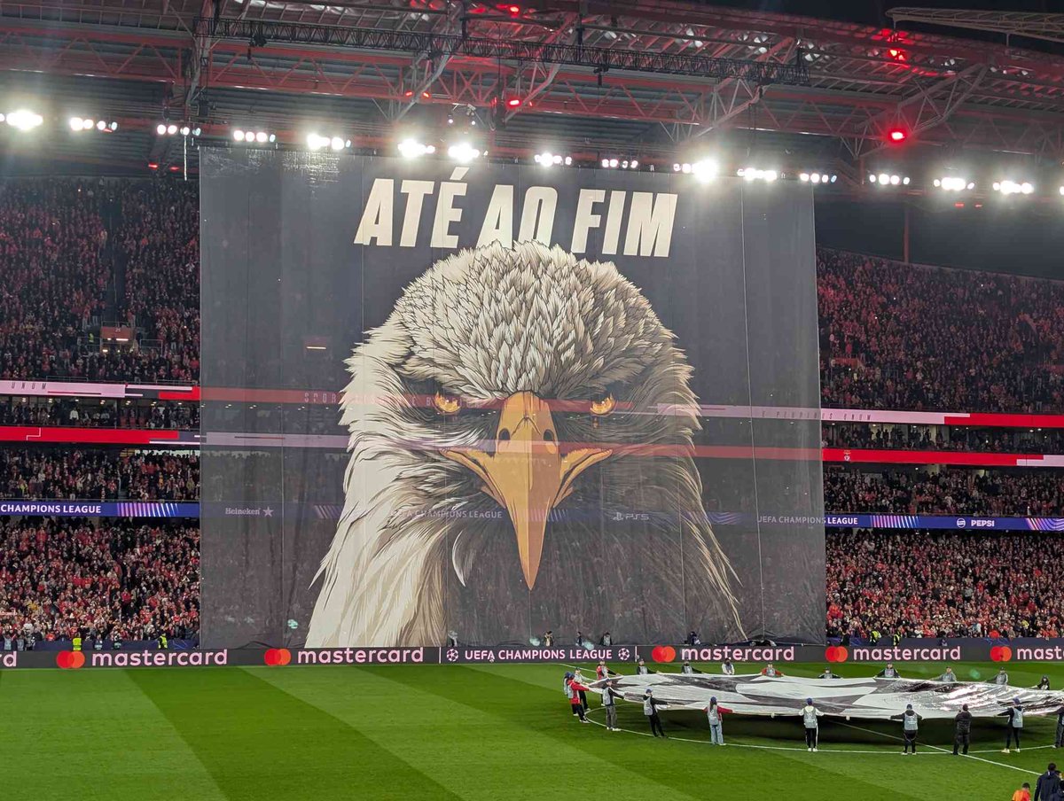 ATÉ AO FIM! 🦅