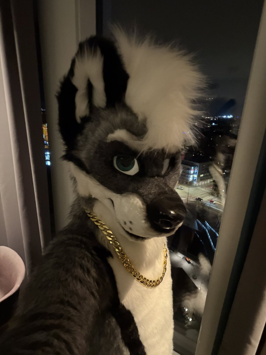 Tungsten Cube Kitty (@EF) tweet media