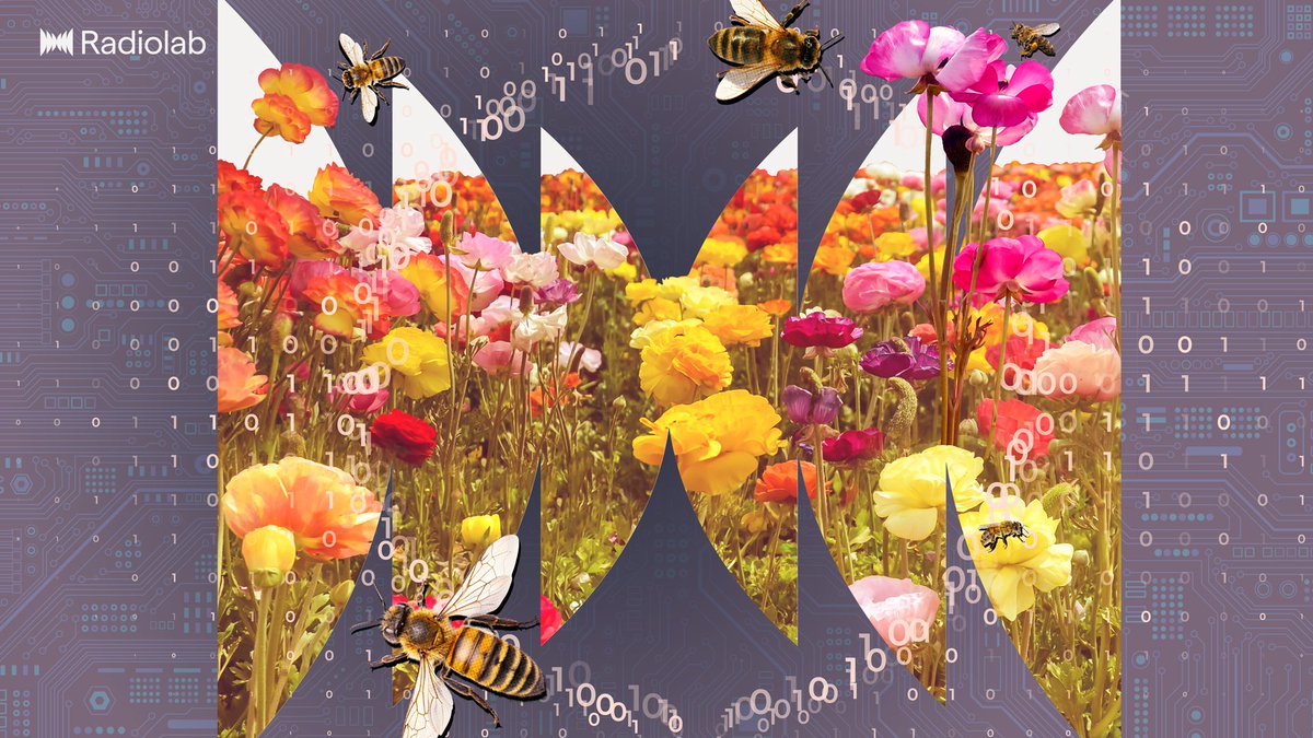 Radiolab tweet media